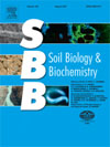 Sánchez-García, C., Santín, C., Doerr, S. H., Strydom, T., & Urbanek, E. (2021). Wildland fire ash enhances short-term CO2 flux from soil in a Southern African savannah. Soil Biology and Biochemistry, 108334.