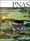 Dufresnes, C., Brelsford, A., Jeffries, D. L., Mazepa, G., Suchan, T., Canestrelli, D., Nicieza, A, … & Crochet, P.-A. (2021). Mass of genes rather than master genes underlie the genomic architecture of amphibian speciation. Proceedings of the National Academy of Science, 118 (36): e2103963118.