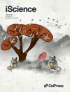 Thumsová, B., Price, S. J., González-Cascón, V., Vörös, J., Martínez-Silvestre, A., Rosa, G. M., Machordom, A. & Bosch, J. (2022). Climate warming triggers the emergence of native viruses in Iberian amphibians. iScience, 105541.