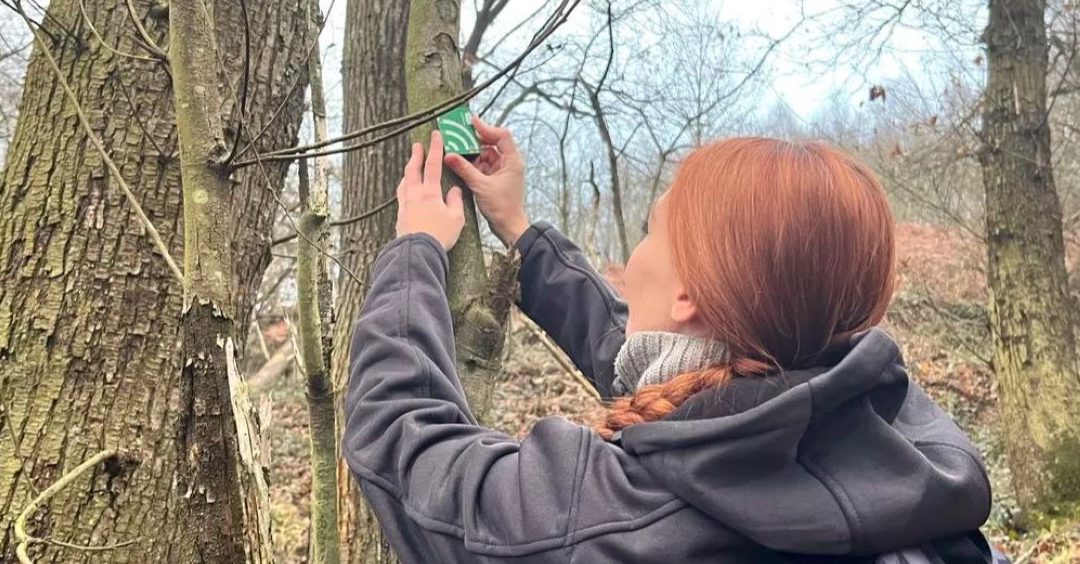 ¿Por qué los pájaros cantan juntos en las mañanas de primavera? RTPA, Conexión Asturias