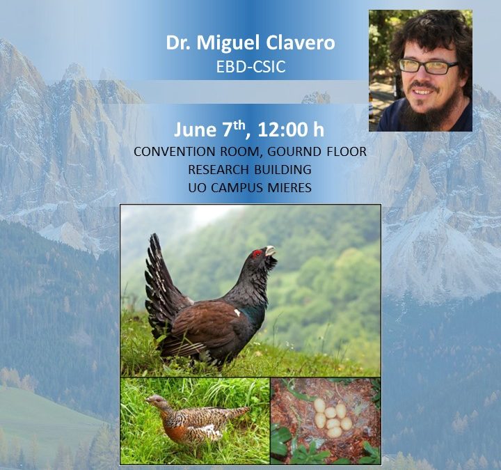 7 de junio, 12:00h. Seminario científico IMIB: «The Cantabrian capercaillie needs a genetic rescue, will it be possible?» por el Dr. Miguel Clavero (Estación Biológica de Doñana, CSIC).