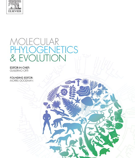 Islam, S., Peart, C., Kehlmaier, C., Sun, Y. H., Lei, F., Dahl, A., … & Päckert, M. (2024). Museomics help resolving the phylogeny of snowfinches (Aves, Passeridae, Montifringilla and allies). Molecular Phylogenetics and Evolution, 198, 108135.