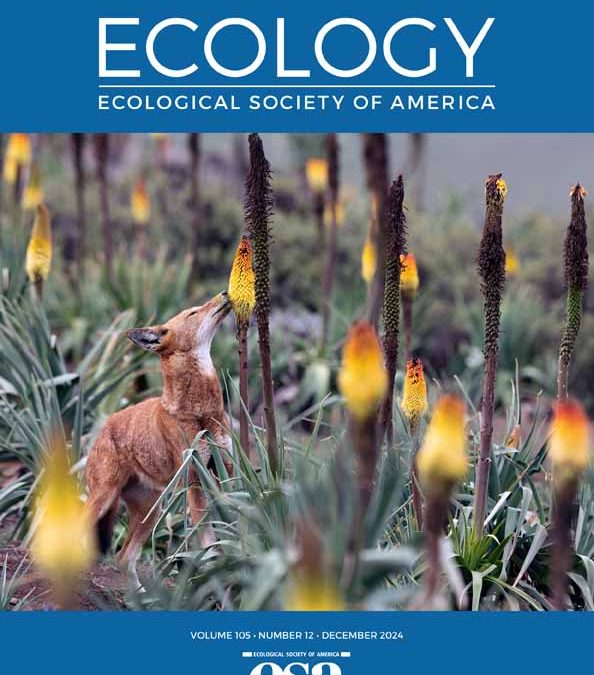 Benson, J. F., Keiter, D. A., Mahoney, P. J., Allen, B. L., Allen, L., Álvares, F., … & Patterson, B. R. (2024). Intrinsic and environmental drivers of pairwise cohesion in wild Canis social groups. Ecology, e4492.