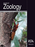 Benjumea, R., Astrain, C., Istúriz, A., Oria, P., Ibarrola, I., & del Mar Delgado, M. Weather conditions at different spatial and temporal scales influence avian post‐breeding migration patterns on route. Journal of Zoology.